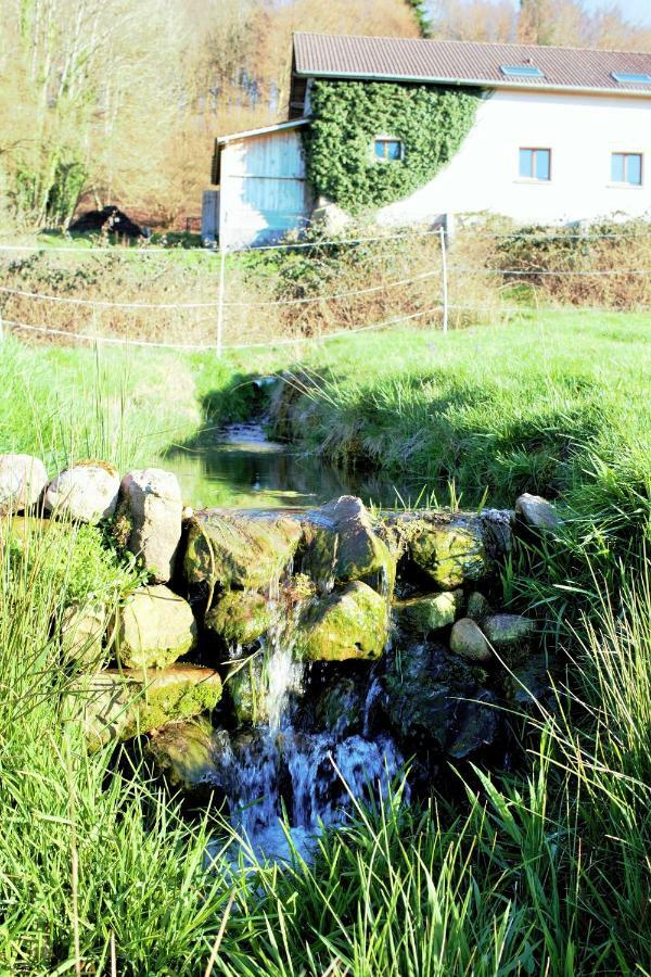 Vila Au Temps De La Source Raon-aux-Bois Exteriér fotografie