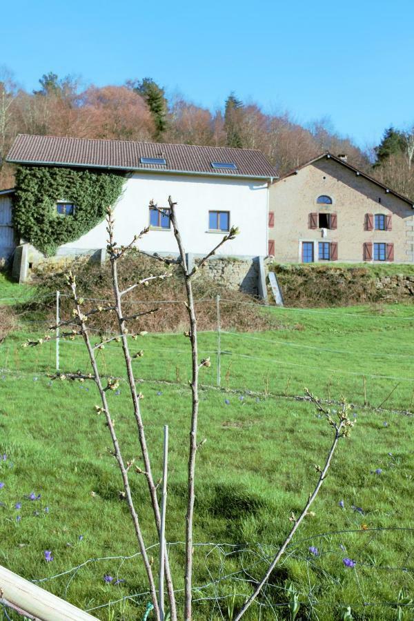 Vila Au Temps De La Source Raon-aux-Bois Exteriér fotografie